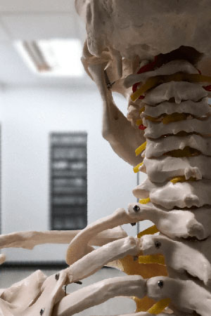 skeleton-osteopathy-crete